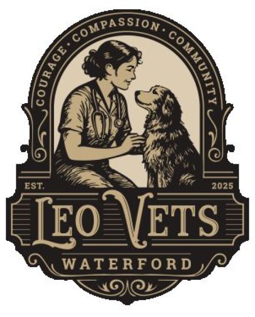 logo